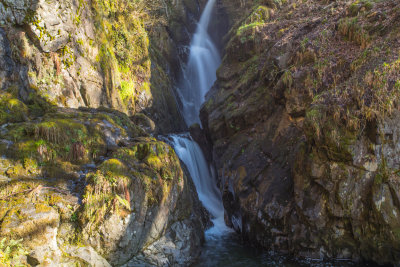 Aira Force