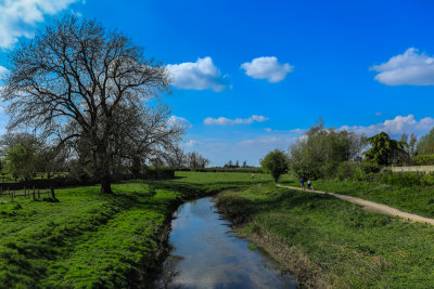 River Foss