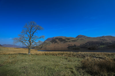 Crummock Water