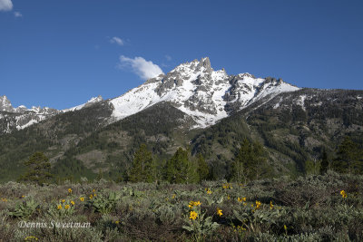 Grand Tetons National Park