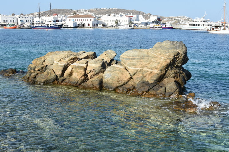 DSC_1030.JPG