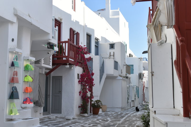 DSC_1034.JPG