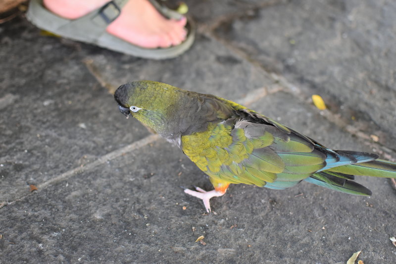 DSC_1091.JPG