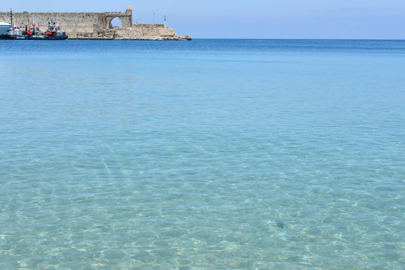 DSC_1106.JPG