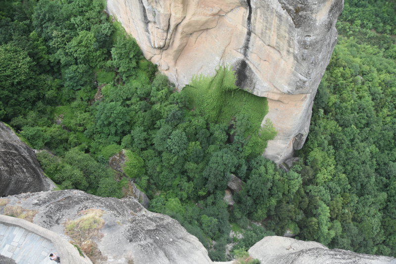 DSC_1296.JPG
