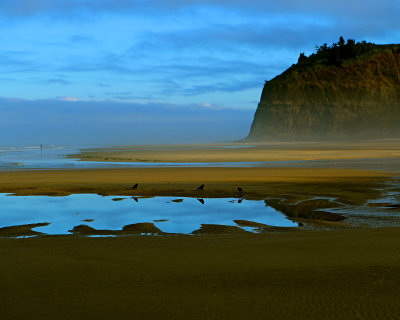 Beach_scene