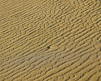 Low_tide