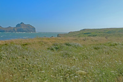 Field_and_ocean