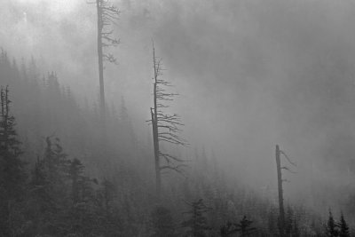 Mountain_fog