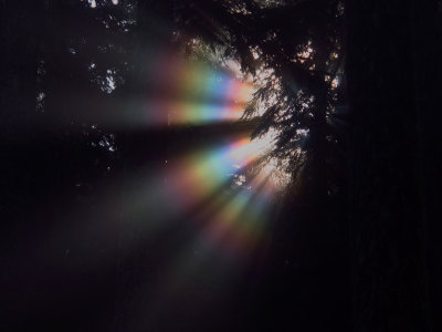 Rainbow_light