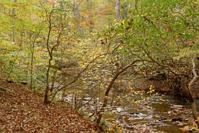 View to river