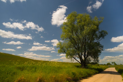 Country Road