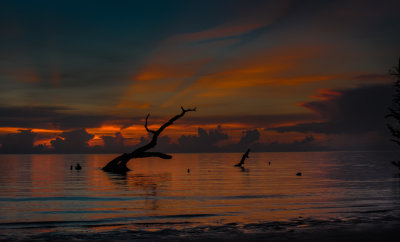 Talbot Island Sunrise.jpg