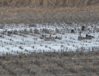 g12/22/1183022/3/171545450.tAMVSlwW.jpg