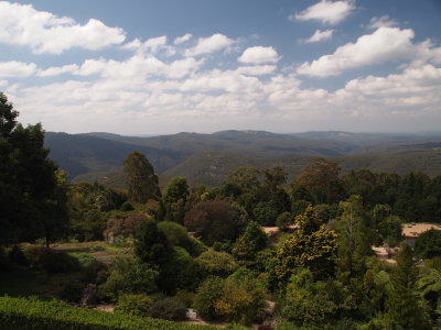 P2171625_s.jpg