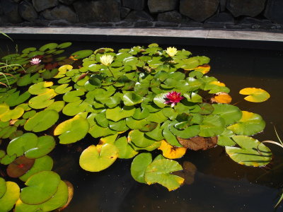 P2171627_s.jpg