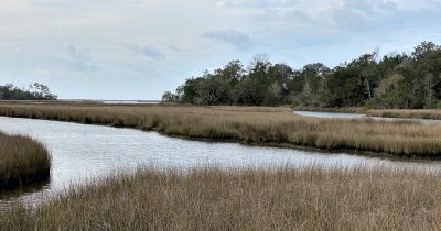 IMG_1058web.jpg