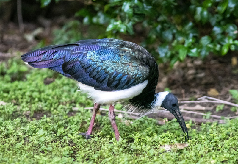 DSC_7601.jpg