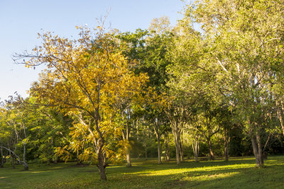 DSC_1126.jpg