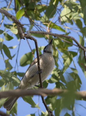 DSC_0460.jpg