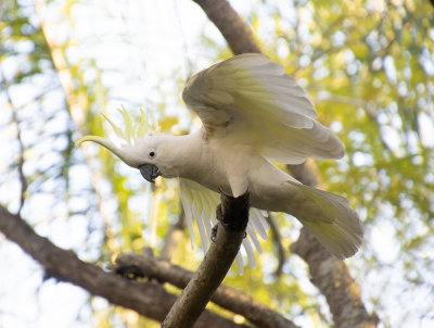 DSC_3467.jpg