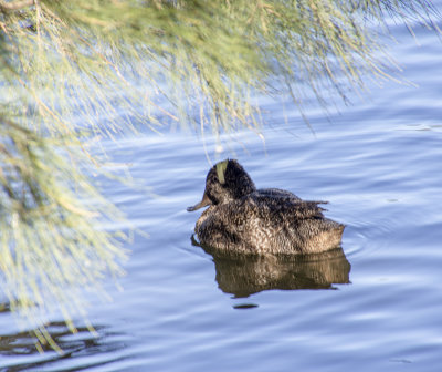DSC_5428.jpg