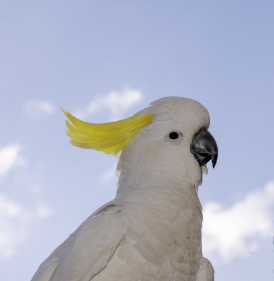 DSC_8283.jpg