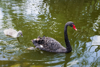 DSC_9840.jpg