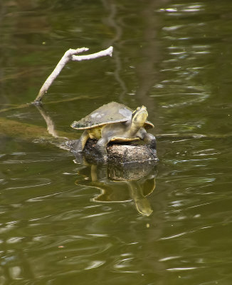 DSC_9843.jpg