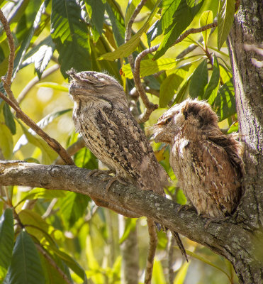 DSC_1762.jpg