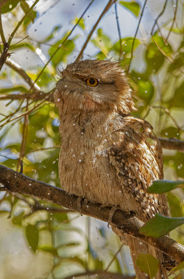 DSC_1784.jpg
