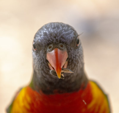 DSC_1980.jpg