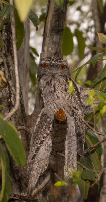 DSC_2580.jpg