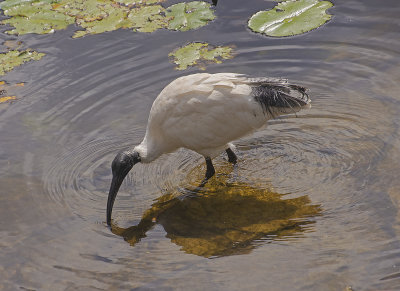 DSC_8684.jpg