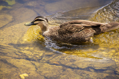 DSC_8686.jpg
