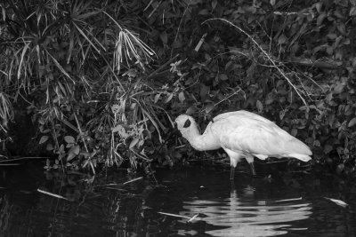 DSC_8748.jpg