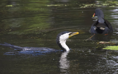 DSC_8739.jpg