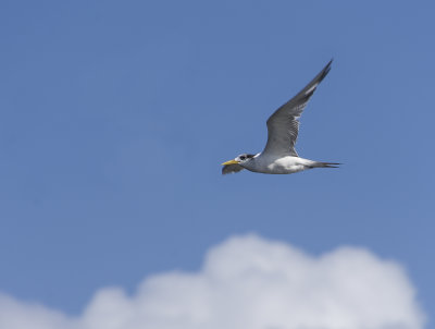 Shorncliffe Pier May 2020