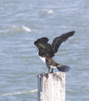 Shorncliffe Pier May 2020