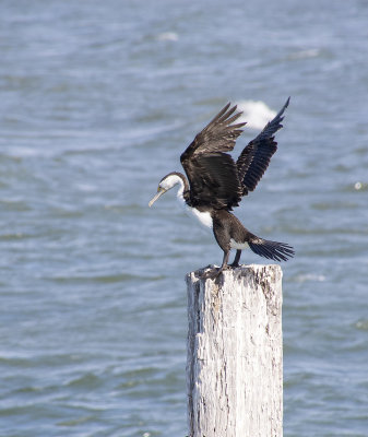 Shorncliffe Pier May 2020