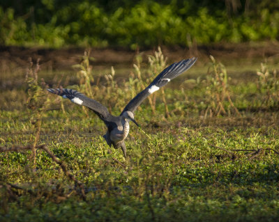 DSC_0790.jpg