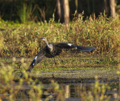 DSC_0814.jpg