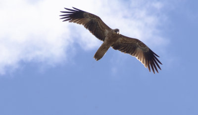 DSC_1146.jpg