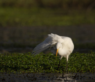 DSC_1281.jpg