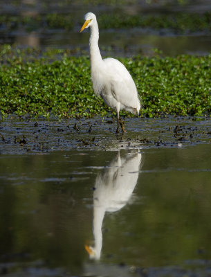 DSC_1288.jpg