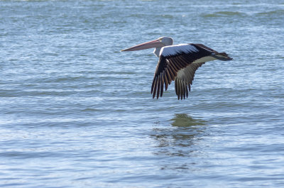 DSC_1443.jpg