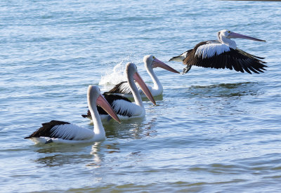 DSC_1471.jpg