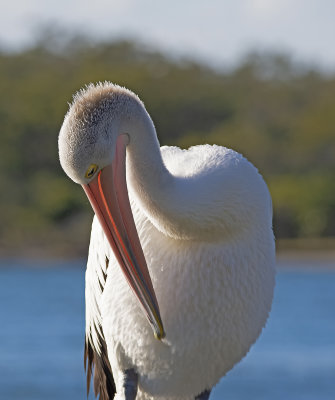 DSC_1572.jpg