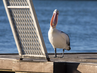 DSC_1578.jpg