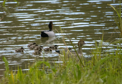 DSC_3635.jpg